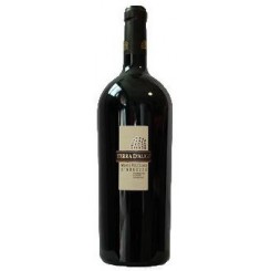 Terra d'Aligi Montepulciano MAGNUM
