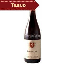 Domaine Gille Pinot Noir